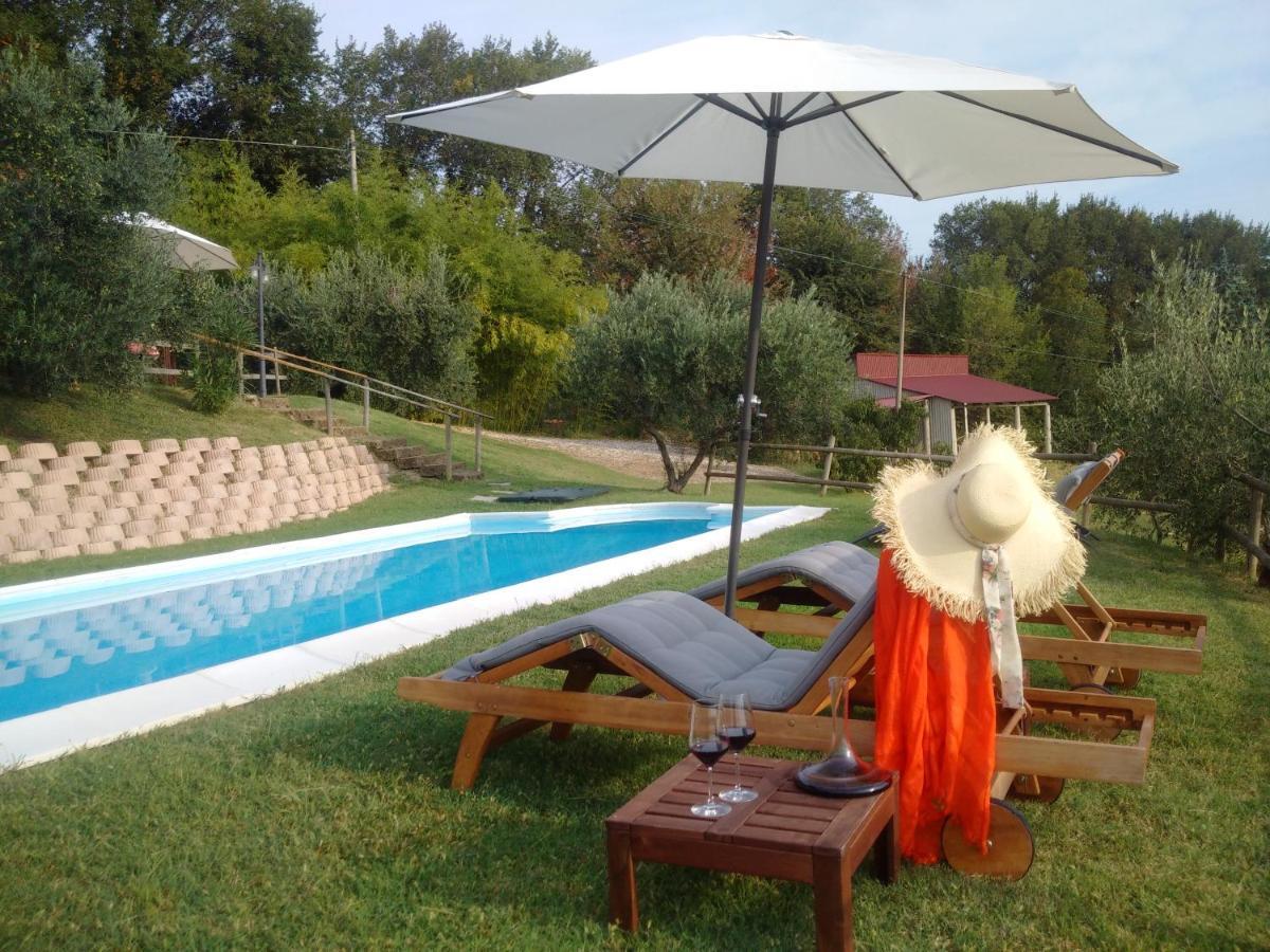 Villa Sant'Elena Morro d'Alba Екстер'єр фото