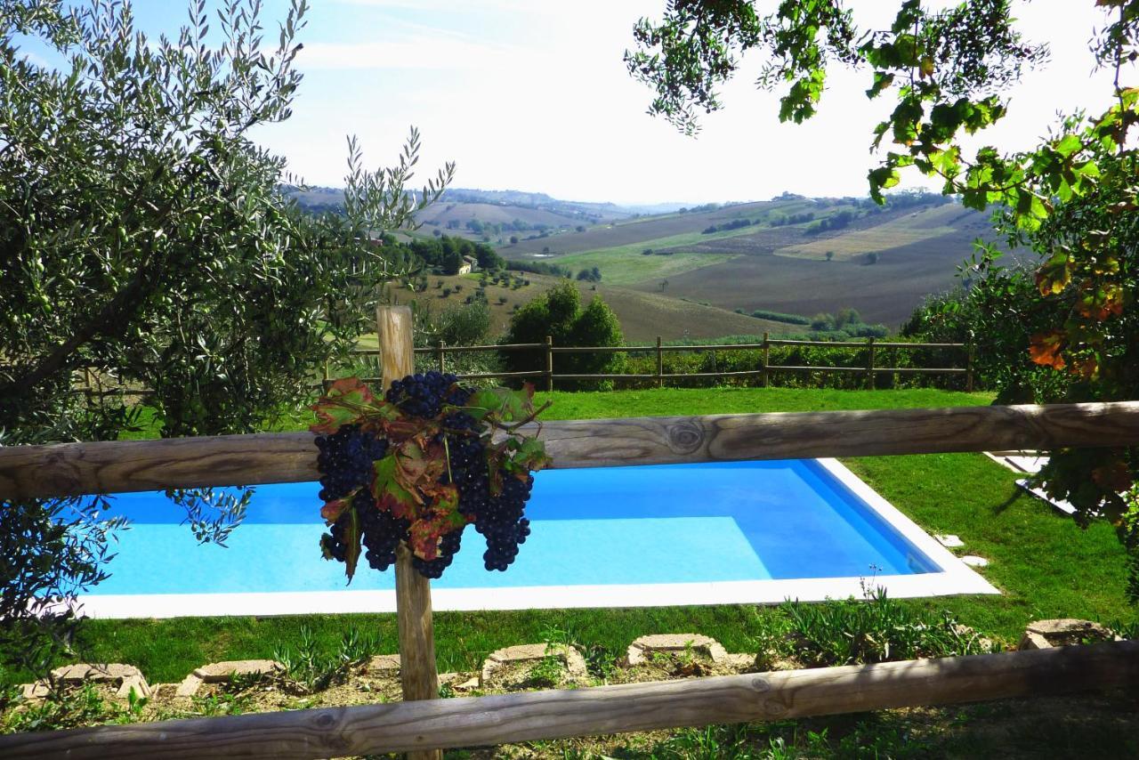 Villa Sant'Elena Morro d'Alba Екстер'єр фото